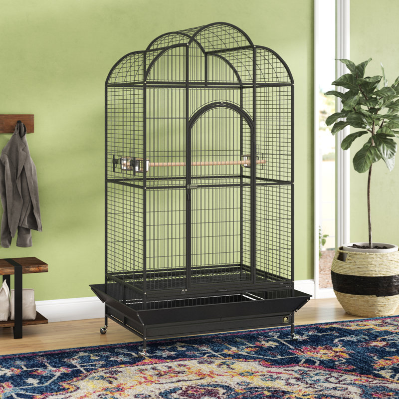 Tucker Murphy™ Pet Backes Macaw Bird Cage & Reviews Wayfair.ca